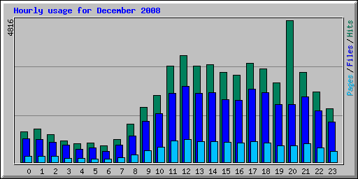 Hourly usage for December 2008