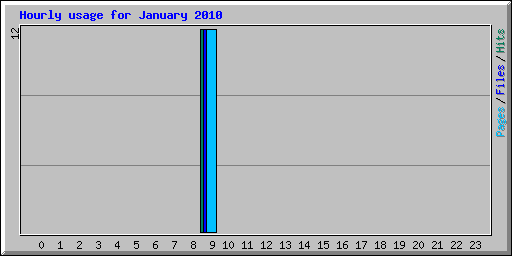 Hourly usage for January 2010